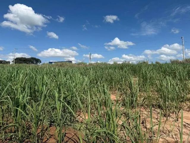 Sítio e chácara venda em Região Imediata de Limeira, Região Metropolitana de Piracicaba