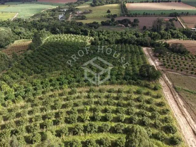 Sítio e chácara venda em Região Imediata de Limeira, Região Metropolitana de Piracicaba
