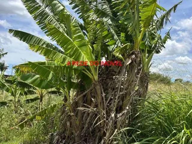 Sítio e chácara venda em Região Imediata de Limeira, Região Metropolitana de Piracicaba