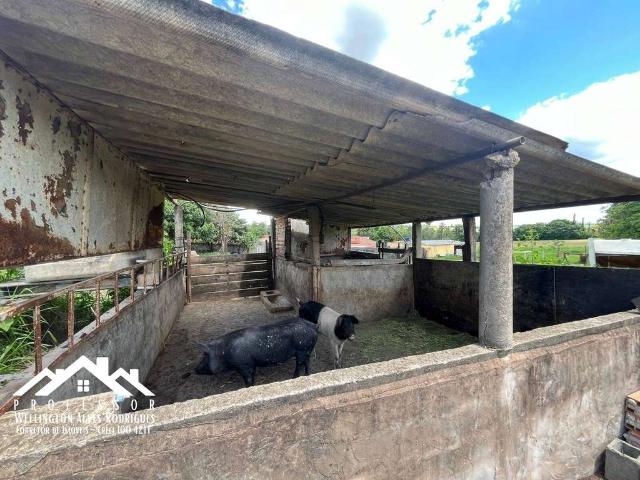 Sítio e chácara venda em Região Imediata de Limeira, Região Metropolitana de Piracicaba
