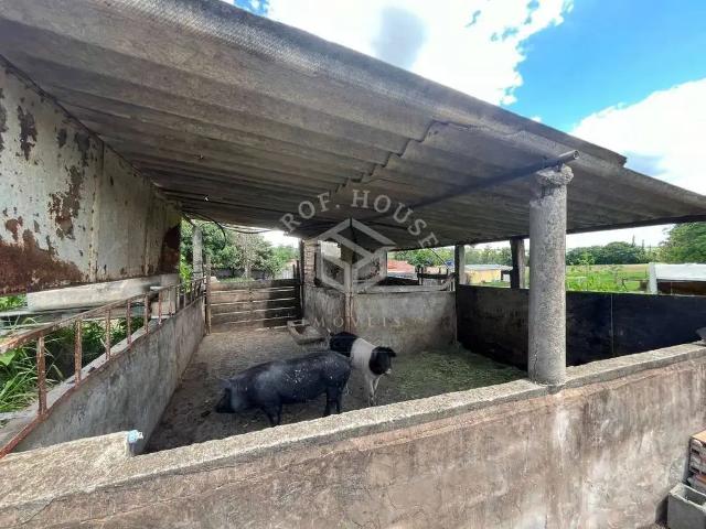 Sítio e chácara venda em Região Imediata de Limeira, Região Metropolitana de Piracicaba