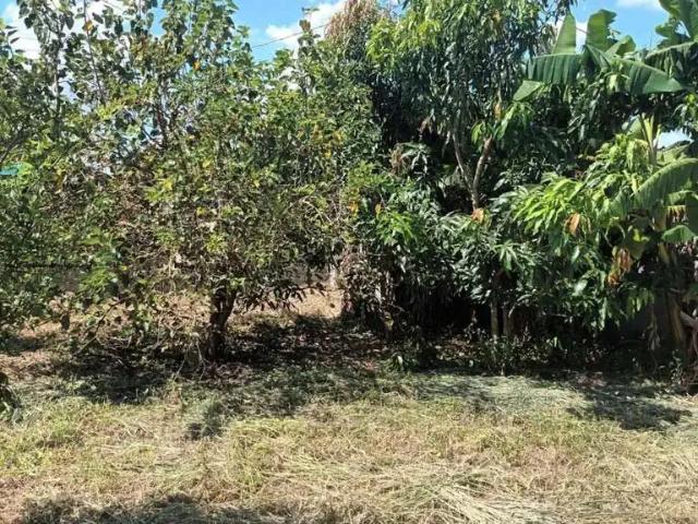 Sítio e chácara venda em Região Imediata de Limeira, Região Metropolitana de Piracicaba