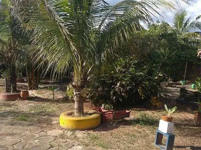 Sítio e chácara venda em Região Imediata de Limeira, Região Metropolitana de Piracicaba