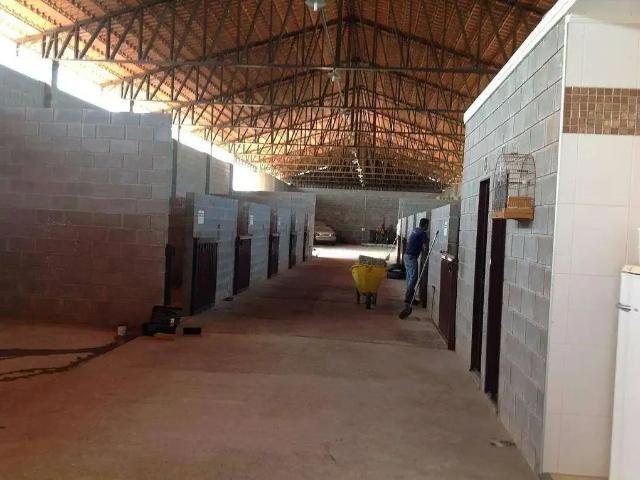 Sítio e chácara venda em Região Imediata de Limeira, Região Metropolitana de Piracicaba