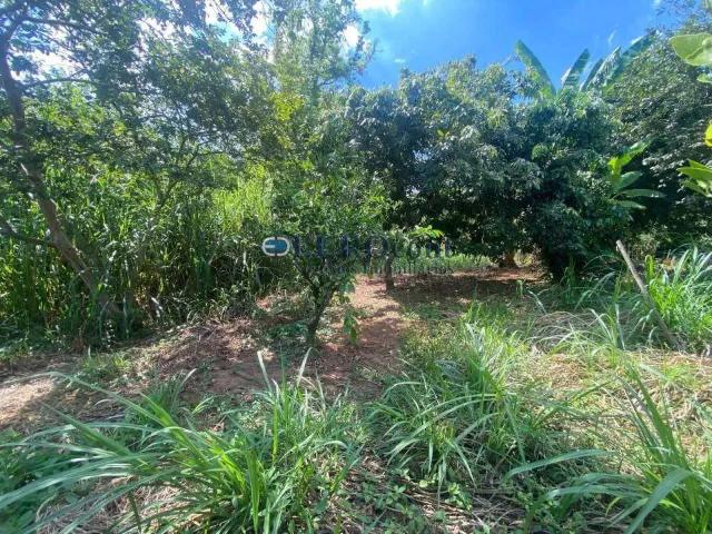 Sítio e chácara venda em Região Imediata de Limeira, Região Metropolitana de Piracicaba