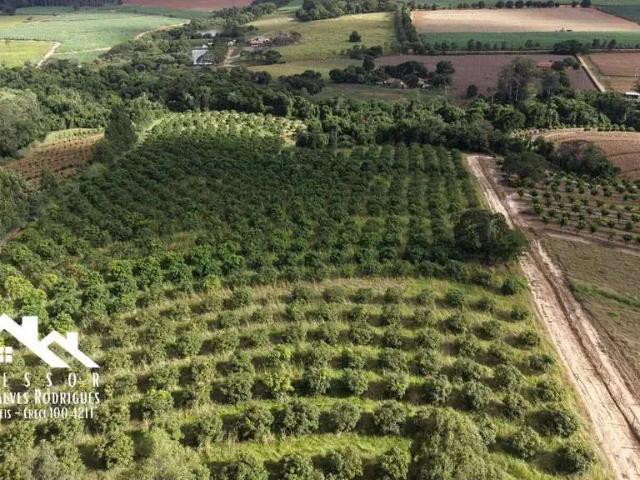 Sítio e chácara venda em Região Imediata de Limeira, Região Metropolitana de Piracicaba