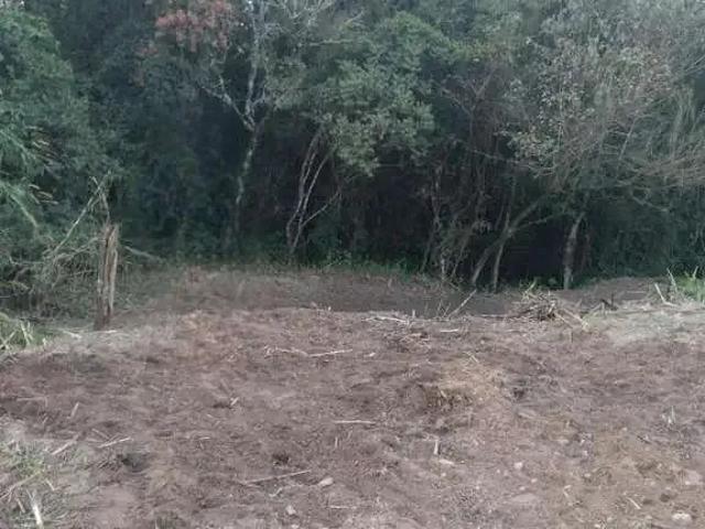Sítio e chácara venda em Região Imediata de Limeira, Região Metropolitana de Piracicaba
