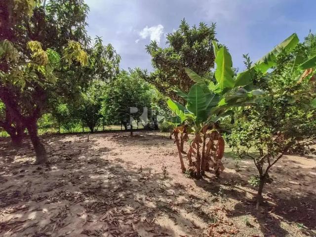 Sítio e chácara venda em Região Imediata de Limeira, Região Metropolitana de Piracicaba