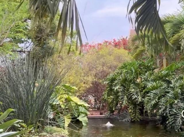 Sítio e chácara venda em Vila Espanhola, Francisco Morato