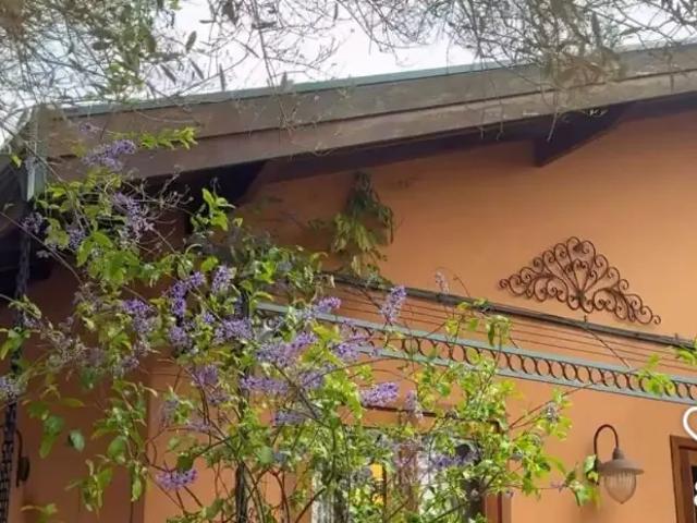 Sítio e chácara venda em Francisco Morato