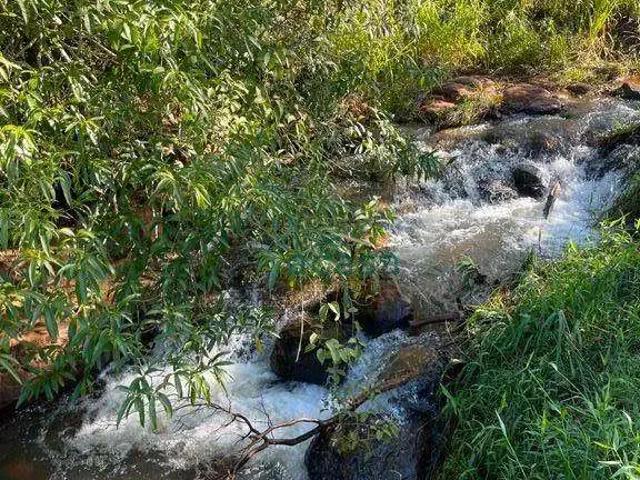 Sítio e chácara venda em Região Geográfica Imediata de Cascavel, Lindoeste
