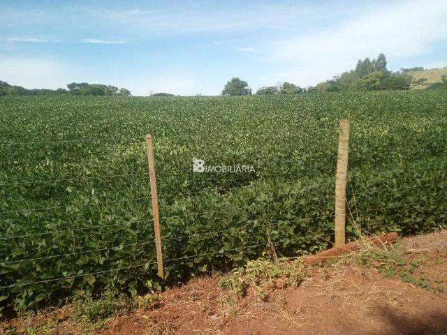 Sítio e chácara venda em Região Geográfica Imediata de Curitiba, Região Metropolitana de Curitiba