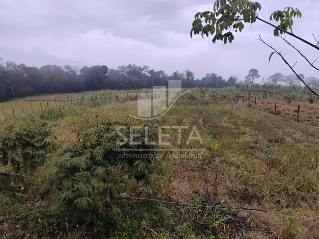 Sítio e chácara venda em Região Geográfica Imediata de Cascavel, Lindoeste