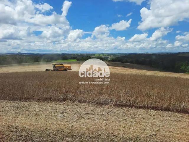Sítio e chácara venda em Região Geográfica Imediata de Cascavel, Lindoeste