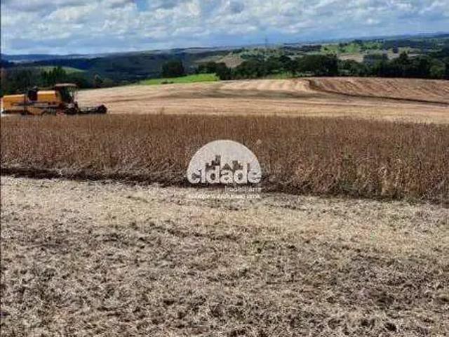 Sítio e chácara venda em Região Geográfica Imediata de Cascavel, Lindoeste