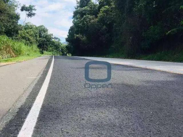 Sítio e chácara venda em Região Imediata de Amparo, Lindóia