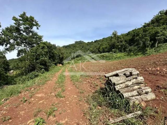 Sítio e chácara venda em Região Geográfica Imediata de Novo Hamburgo - São Leopoldo, Linha Nova