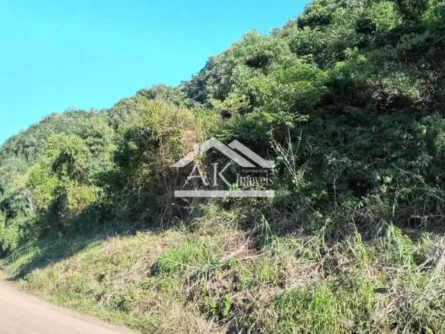 Sítio e chácara venda em Região Geográfica Imediata de Novo Hamburgo - São Leopoldo, Linha Nova