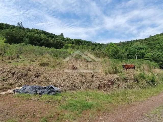 Sítio e chácara venda em Região Geográfica Imediata de Novo Hamburgo - São Leopoldo, Linha Nova