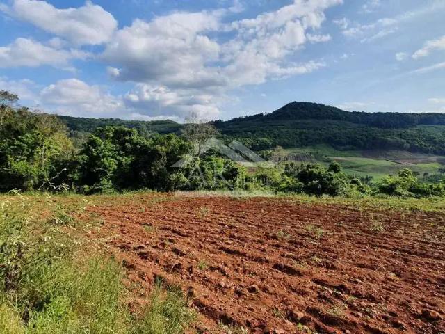 Sítio e chácara venda em Região Geográfica Imediata de Novo Hamburgo - São Leopoldo, Linha Nova