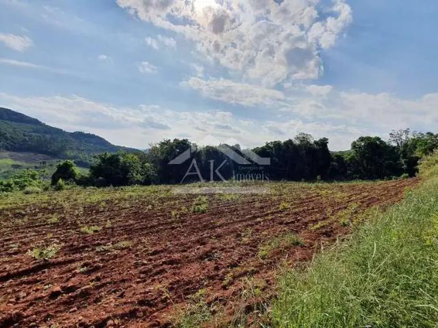 Sítio e chácara venda em Região Geográfica Imediata de Novo Hamburgo - São Leopoldo, Linha Nova