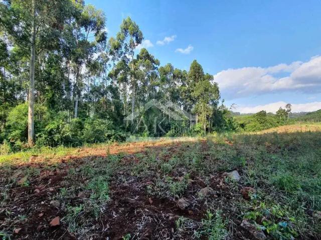 Sítio e chácara venda em Região Geográfica Imediata de Novo Hamburgo - São Leopoldo, Linha Nova