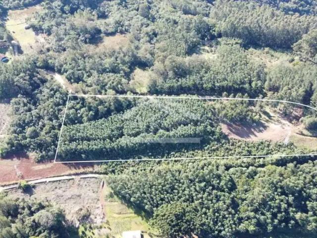 Sítio e chácara venda em Região Geográfica Imediata de Novo Hamburgo - São Leopoldo, Linha Nova