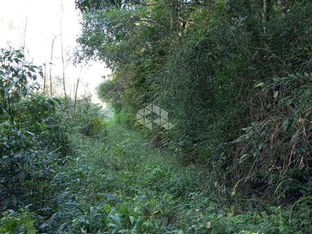 Sítio e chácara venda em Região Geográfica Imediata de Novo Hamburgo - São Leopoldo, Linha Nova