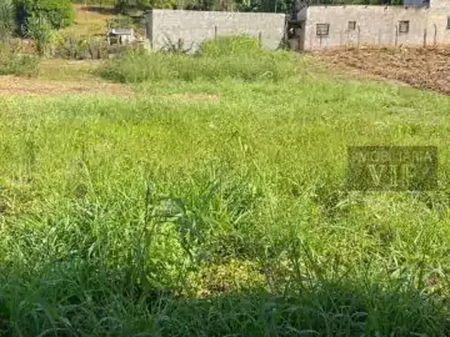 Sítio e chácara venda em Região Geográfica Imediata de Londrina, Londrina
