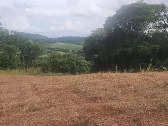 Sítio e chácara venda em Região Geográfica Imediata de Londrina, Londrina