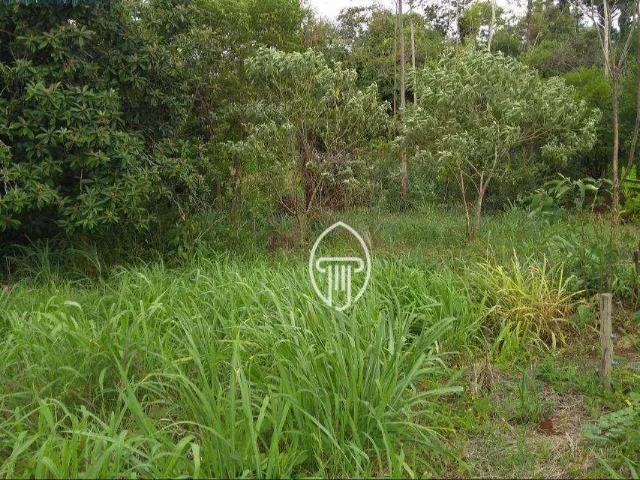 Sítio e chácara venda em Região Geográfica Imediata de Londrina, Londrina