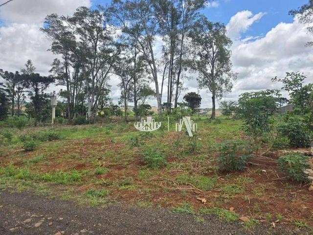 Sítio e chácara venda em Região Geográfica Imediata de Londrina, Londrina