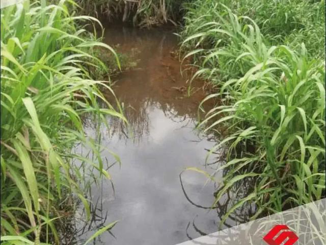 Sítio e chácara venda em Região Geográfica Imediata de Londrina, Londrina