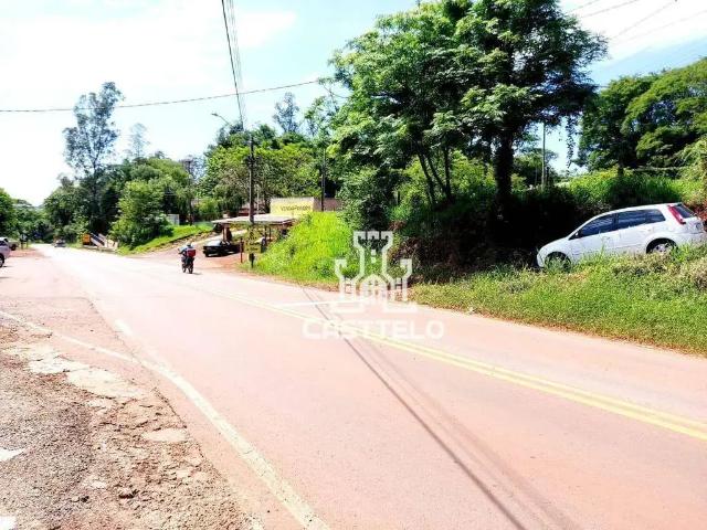 Sítio e chácara venda em Região Geográfica Imediata de Londrina, Londrina
