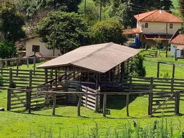 Sítio e chácara venda em Região Geográfica Imediata de Londrina, Londrina