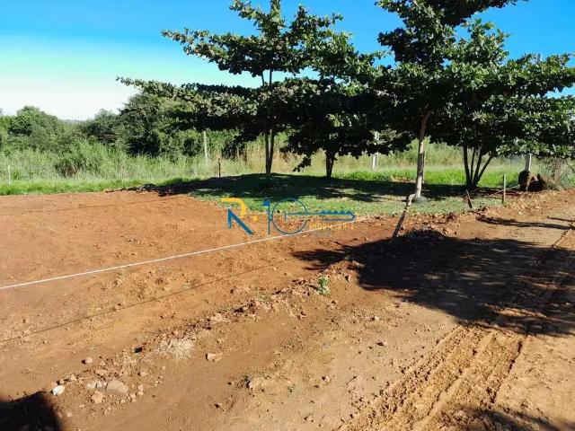 Sítio e chácara venda em Região Geográfica Imediata de Londrina, Londrina
