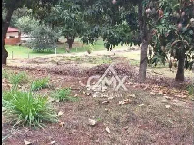 Sítio e chácara venda em Região Geográfica Imediata de Londrina, Londrina