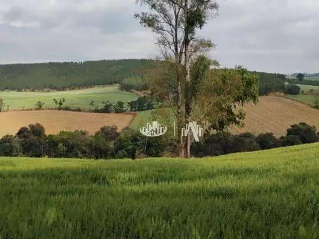 Sítio e chácara venda em Região Geográfica Imediata de Londrina, Londrina