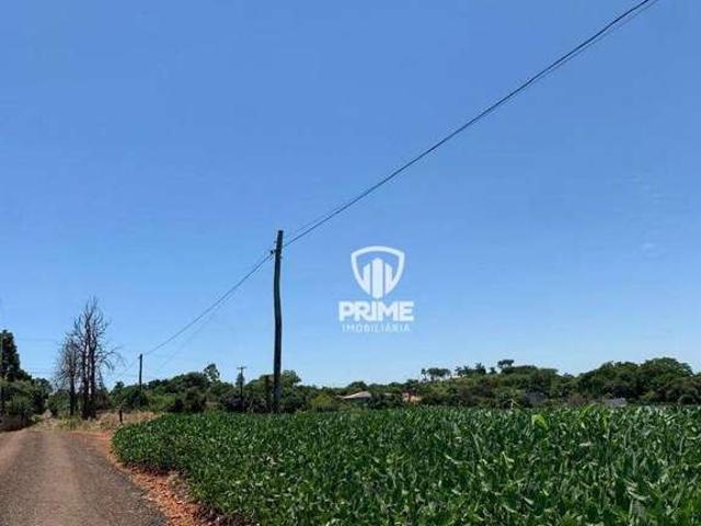 Sitio venda em Londrina, Warta