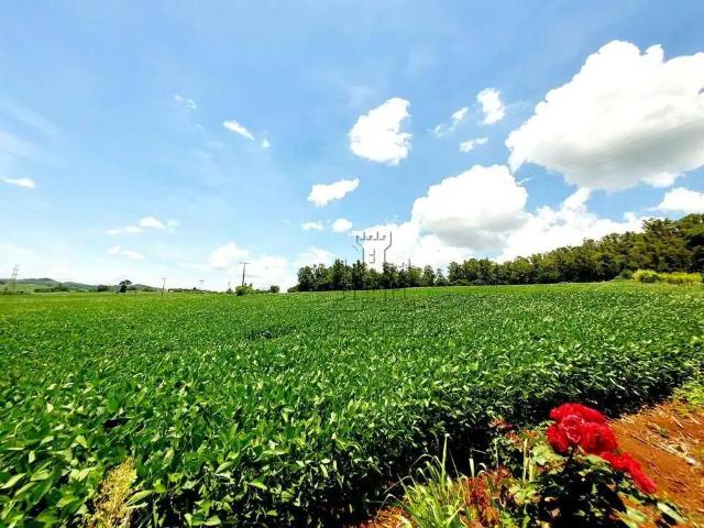 Sítio e chácara venda em Região Geográfica Imediata de Londrina, Londrina