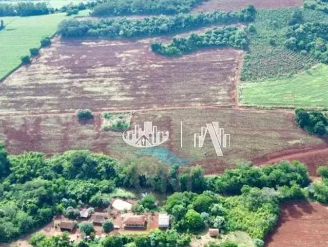 Sítio e chácara venda em Região Geográfica Imediata de Londrina, Londrina