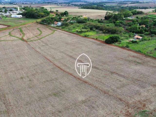 Sítio e chácara venda em Região Geográfica Imediata de Londrina, Londrina