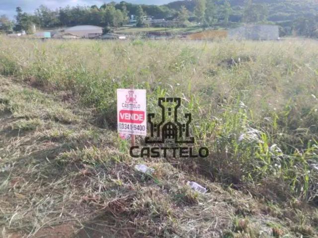 Sítio e chácara venda em Região Geográfica Imediata de Londrina, Londrina