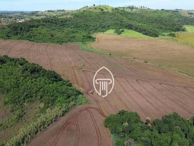 Sítio e chácara venda em Região Geográfica Imediata de Londrina, Londrina