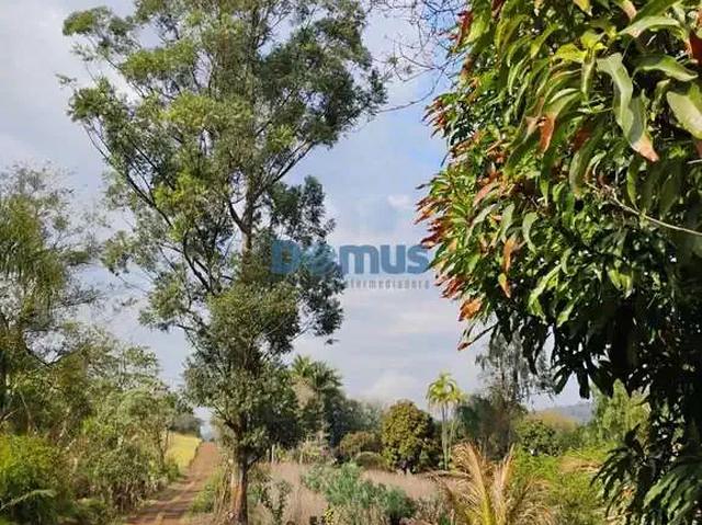 Sítio e chácara venda em Região Geográfica Imediata de Londrina, Londrina