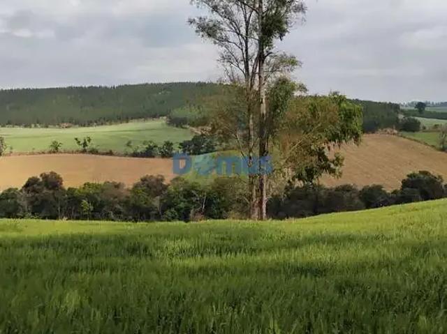 Sítio e chácara venda em Região Geográfica Imediata de Londrina, Londrina