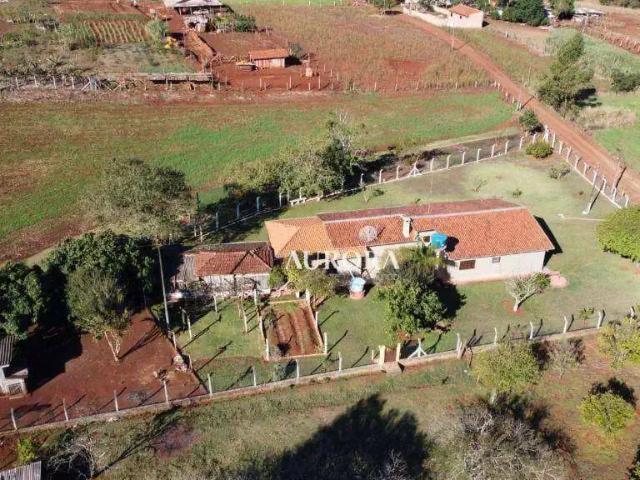 Sítio e chácara venda em Região Geográfica Imediata de Londrina, Londrina