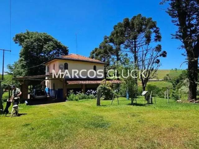 Sítio e chácara venda em Centro Histórico, Londrina