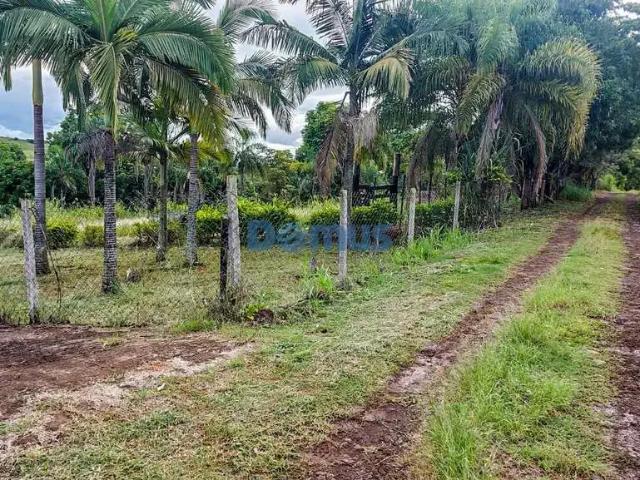Sítio e chácara venda em Região Geográfica Imediata de Londrina, Londrina