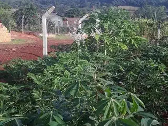 Sítio e chácara venda em Londrina